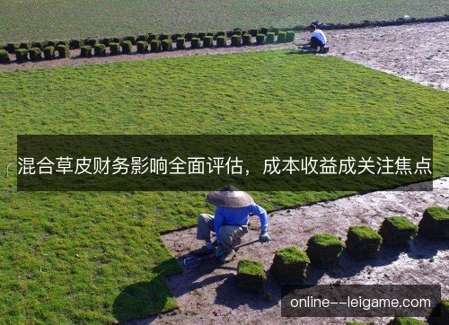 混合草皮财务影响全面评估，成本收益成关注焦点